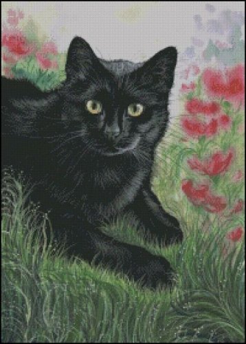 (image for) Poppy Garden